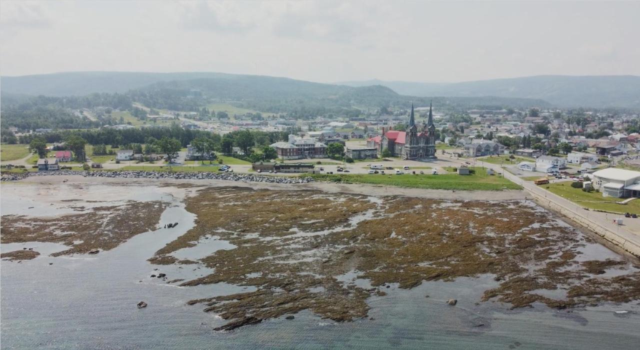 Le Couvent Apartman Sainte Anne-des-Chênes Kültér fotó